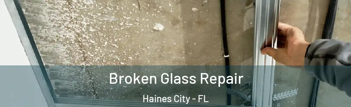 Broken Glass Repair Haines City - FL