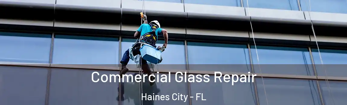 Commercial Glass Repair Haines City - FL
