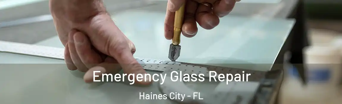 Emergency Glass Repair Haines City - FL