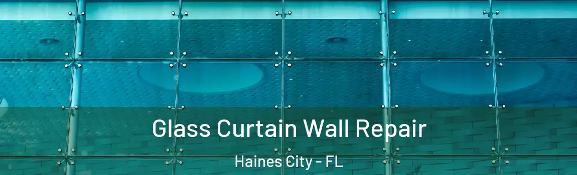 Glass Curtain Wall Repair Haines City - FL