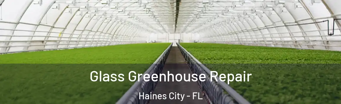 Glass Greenhouse Repair Haines City - FL