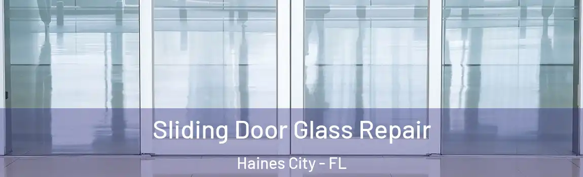 Sliding Door Glass Repair Haines City - FL