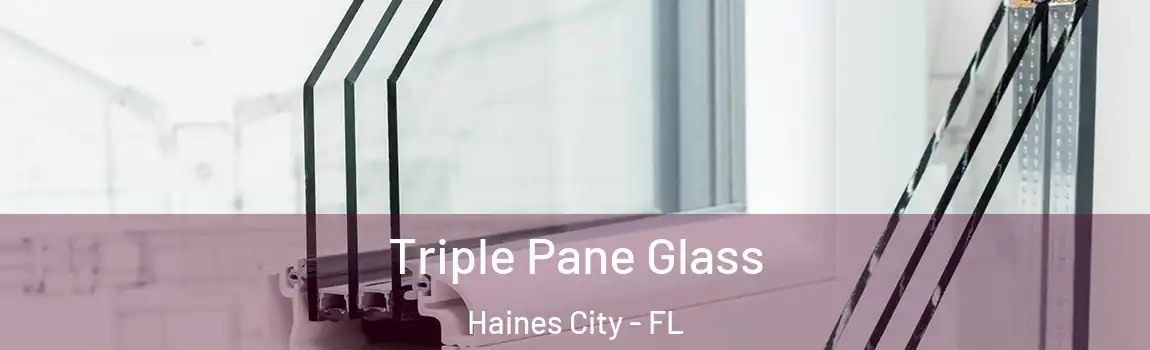 Triple Pane Glass Haines City - FL