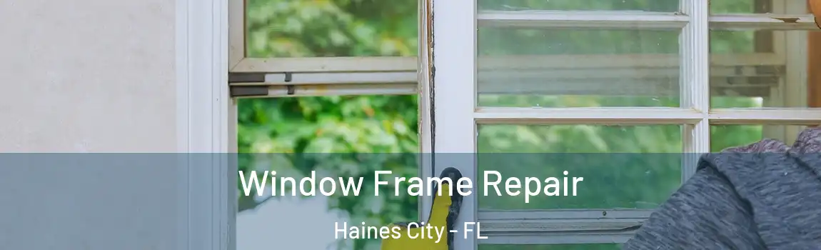 Window Frame Repair Haines City - FL