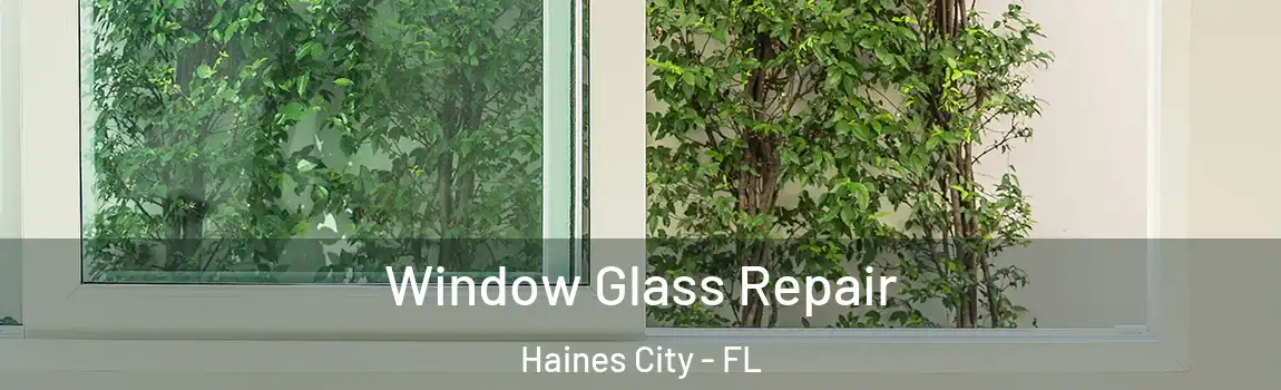 Window Glass Repair Haines City - FL
