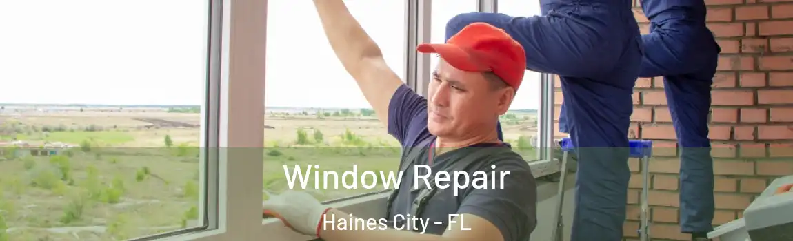 Window Repair Haines City - FL